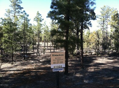 Wooded Lot