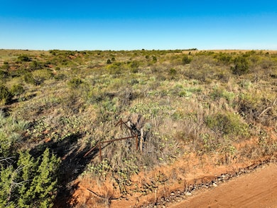 4824 Cr 434, Peacock, TX 79502 - photo 6