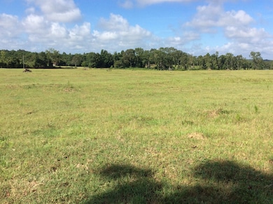 4837 Quail Tower Rd, Luverne, AL 36049 - photo 2