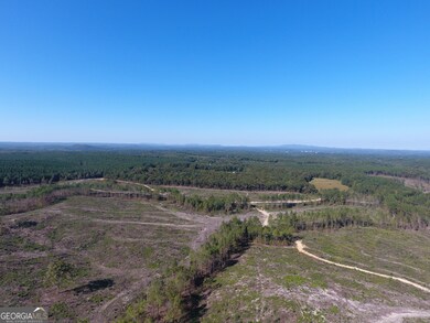 0 Coaling Rd unit 9221 10352063, Cedartown, GA 30125 - photo 6