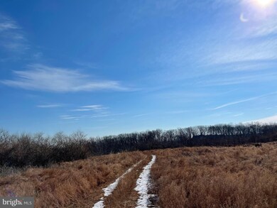 21828 Clear Creek Ln, Aldie, VA 20105 - photo 6