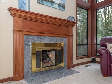Fireplace Gas