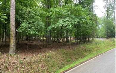 Additional View