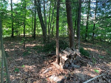 62 Smith Rd, Leicester, NC 28748 - photo 6