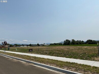 10703 Greg Ln, Islandcity, OR 97850 - photo 4