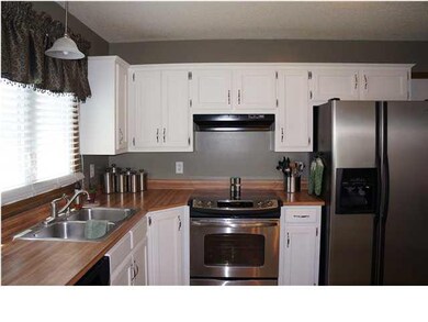 Updated Kitchen with Lots Of Cabinets Space!