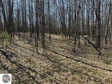 0 Ticino Dr unit 353 1932968, Reed City, MI 49677 - photo 7