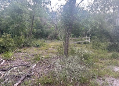 00 SW 158th Ln, Dunnellon, FL 34432 - photo 3