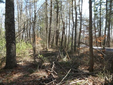 1 Walnut Plain Rd, Rochester, MA 02770 - photo 4