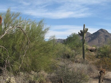 McDowell View 1