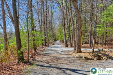 Through Park Like Setting with Pristine Open Woods