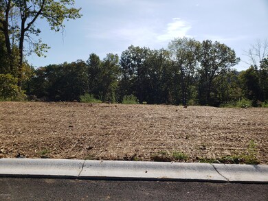 21 Kilner Goodlet Ct, Mount Washington, KY 40047 - photo 2