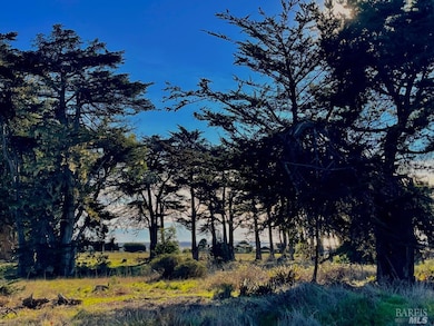 43725 Cypress Pkwy unit 3, Manchester, CA 95459 - photo 3