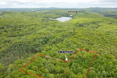 Symmes Pond