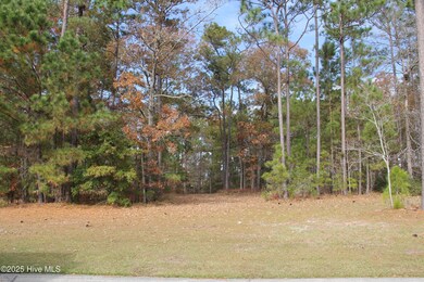 1193 Sabel Loop SE, Lockwoods Folly, NC 28422 - photo 5