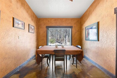 133 Silver Saddle Cir, Weatherford, TX 76087 - photo 6