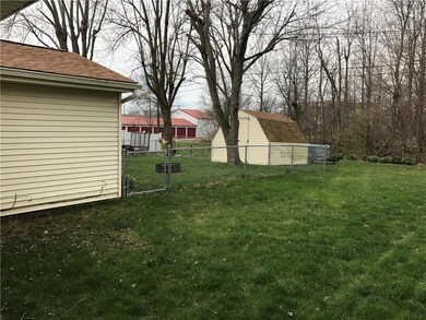 Side and back Yard