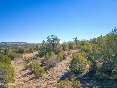 Drone View 2