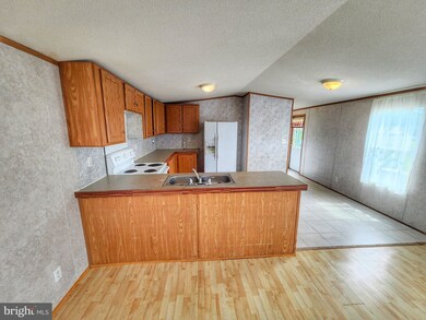 27806 Paradise St unit 52605, Georgetown, DE 19947 - photo 2