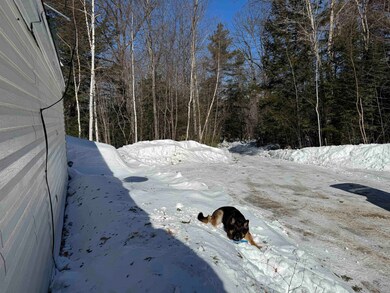 Looking down the driveway