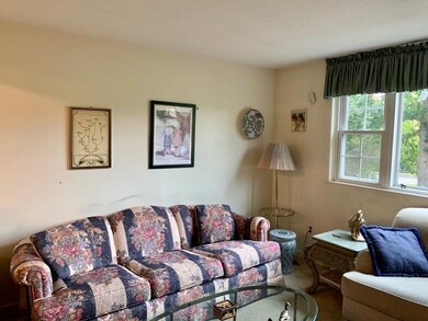 28 Hemlock Cir, Millis, MA 02054 - photo 5