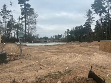 32225 Yaupon Bramble Ln, Conroe, TX 77385 - photo 2