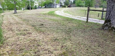 696 Denton Phelps Rd, Somerset, KY 42501 - photo 3