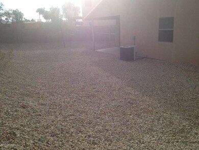 back yard