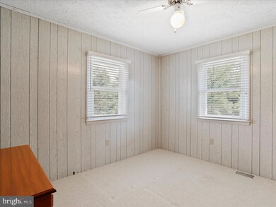 1981 Salem Church Rd, Stephens City, VA 22655 - photo 4