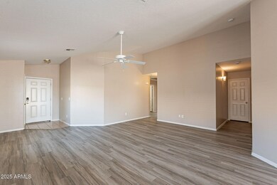 6-web-or-mls-Magdalena-6