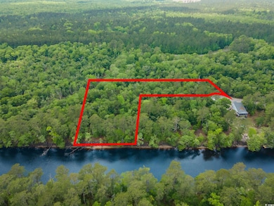 Aerial view with a water view and a forest view