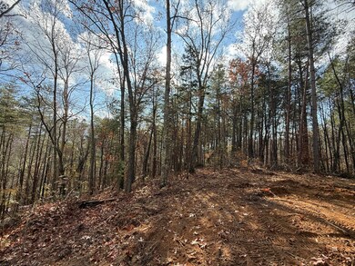 Lot 4 Parksville Rd, Benton, TN 37307 - photo 4