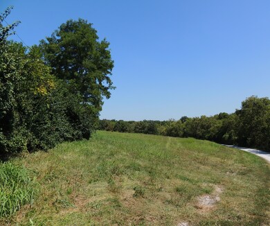 02 S Scruggs, Frankfort, KY 40601 - photo 5