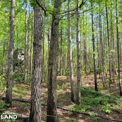 0 Cr 77, Ashland, AL 36251 - photo 2