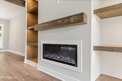 fireplace & built ins