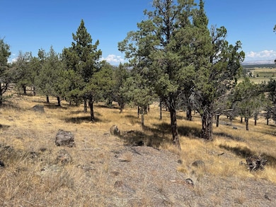 Unit 9-1 Lot 32 Palomino Rd unit 9-1, Lake Shastina, CA 96094 - photo 7