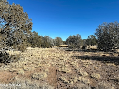 2249 W Cienega Dr, Ash Fork, AZ 86320 - photo 4