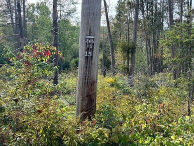 Pole where Lot 1 ends