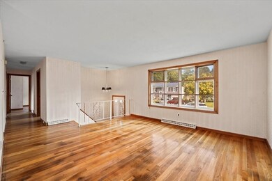 23 Theresa Rd, Brockton, MA 02302 - photo 6