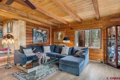 373 Gerhard Cir, Pagosa Springs, CO 81147 - photo 7