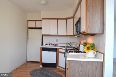 383 Lakeside Rd unit 301, Ardmore, PA 19003 - photo 7