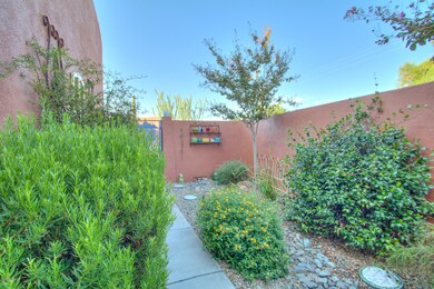 Lush Yard w native plants