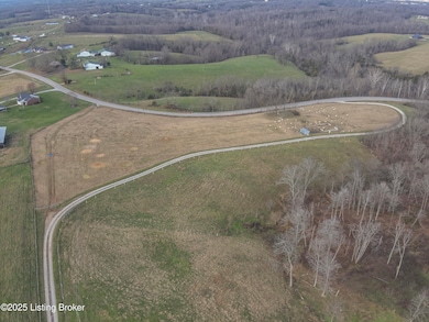 900A Lawrenceburg Rd, Willisburg, KY 40078 - photo 3