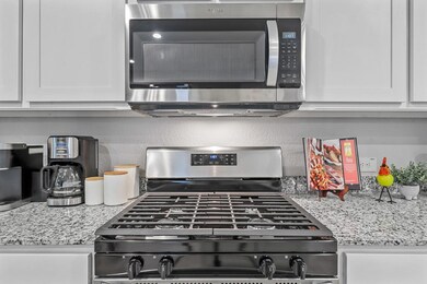 517 Derby Ln, Springtown, TX 76082 - photo 5