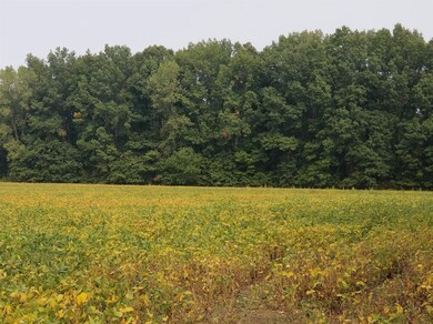 1 W 1000 N, Pines, IN 46360 - photo 4