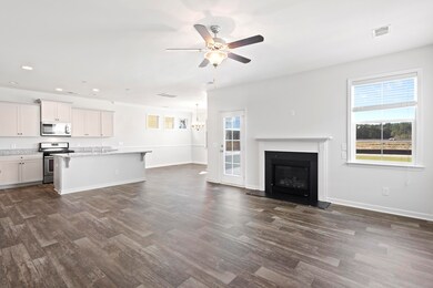 369 Hillman Trail Dr, Moncks Corner, SC 29461 - photo 4