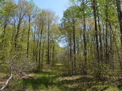 AT Hwy 86, Tomahawk, WI 54487 - photo 3