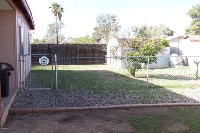 Javelina 011