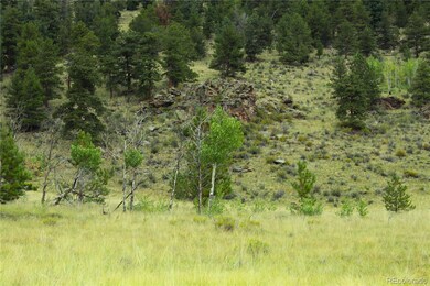 0 W Highway 24 Hwy unit REC9875623, Lake George, CO 80827 - photo 5