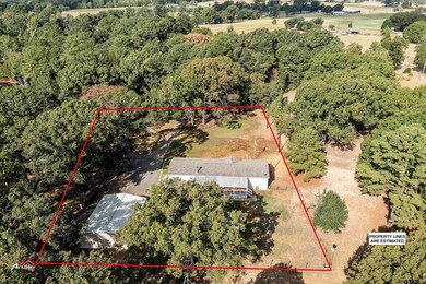 10137 County Road 3197, Arp, TX 75750 - photo 6